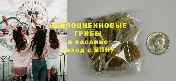МДПВ Алзамай